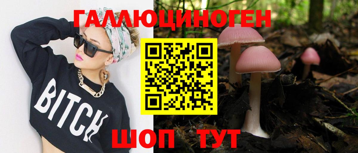 Чернушка  Псилоцибиновые грибы ЛСД  Галлюциногенные грибы Cubensis  Вход с VPN 